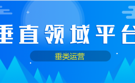 垂类是什么意思？如何运营垂直平台盈利！