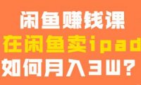 淘宝、拼多多、闲鱼项目怎么帮你赚钱，让你月入1-3W